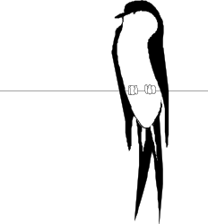 Man in Dark - Black and White Clipart Image
