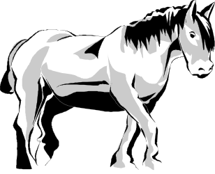 Horse Silhouette on Black Background - Stunning Clipart for Design Projects