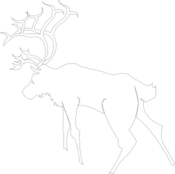 Deer Silhouette Clipart: Elegant White Figure with Antlers