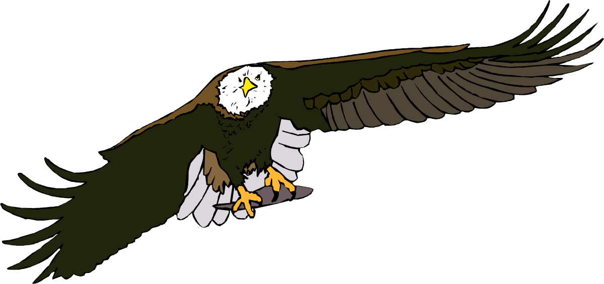 an eagle flying in the air with its wings spread clip art png transparent Eagle Flying in the Air with Spread Wings Clipart