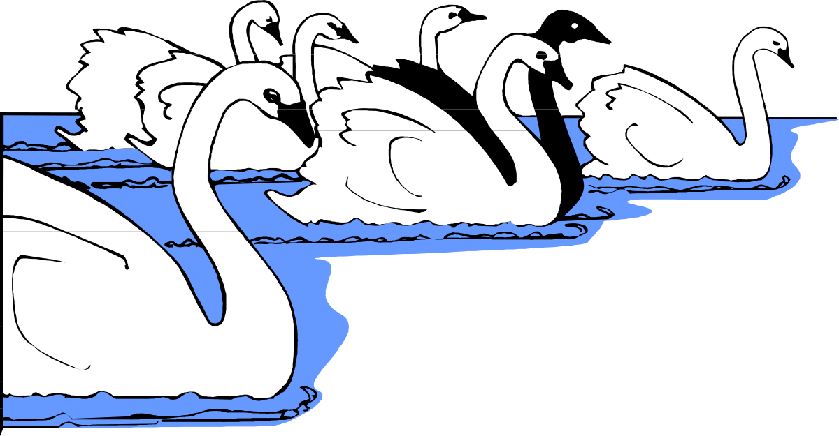 Swans Floating Gracefully in Water - Elegant Nature Clipart