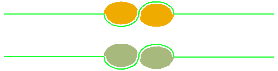Green and Orange Circles Clipart - Vibrant Borders and Bars Design
