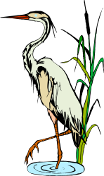 Bird Standing in Water Pond Clipart - Nature Scene