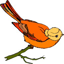 Long-Tailed Bird Clipart: Elegant Avian Silhouette