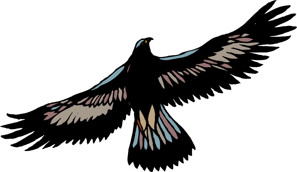 Bird Flying in Dark Sky Clipart - Stunning Nighttime Scene