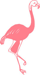 Pink Flamingo Bird Standing on Hind Legs Clipart