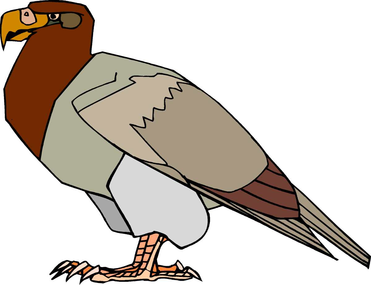 Brown and White Beak Bird Clipart - Perfect for Nature Projects