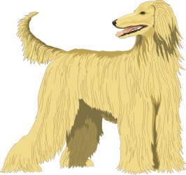 Long-Haired Dog Clipart: Adorable and Versatile Designs