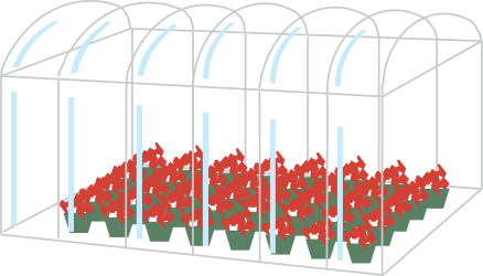 Greenhouse with Vibrant Red Flowers Clipart