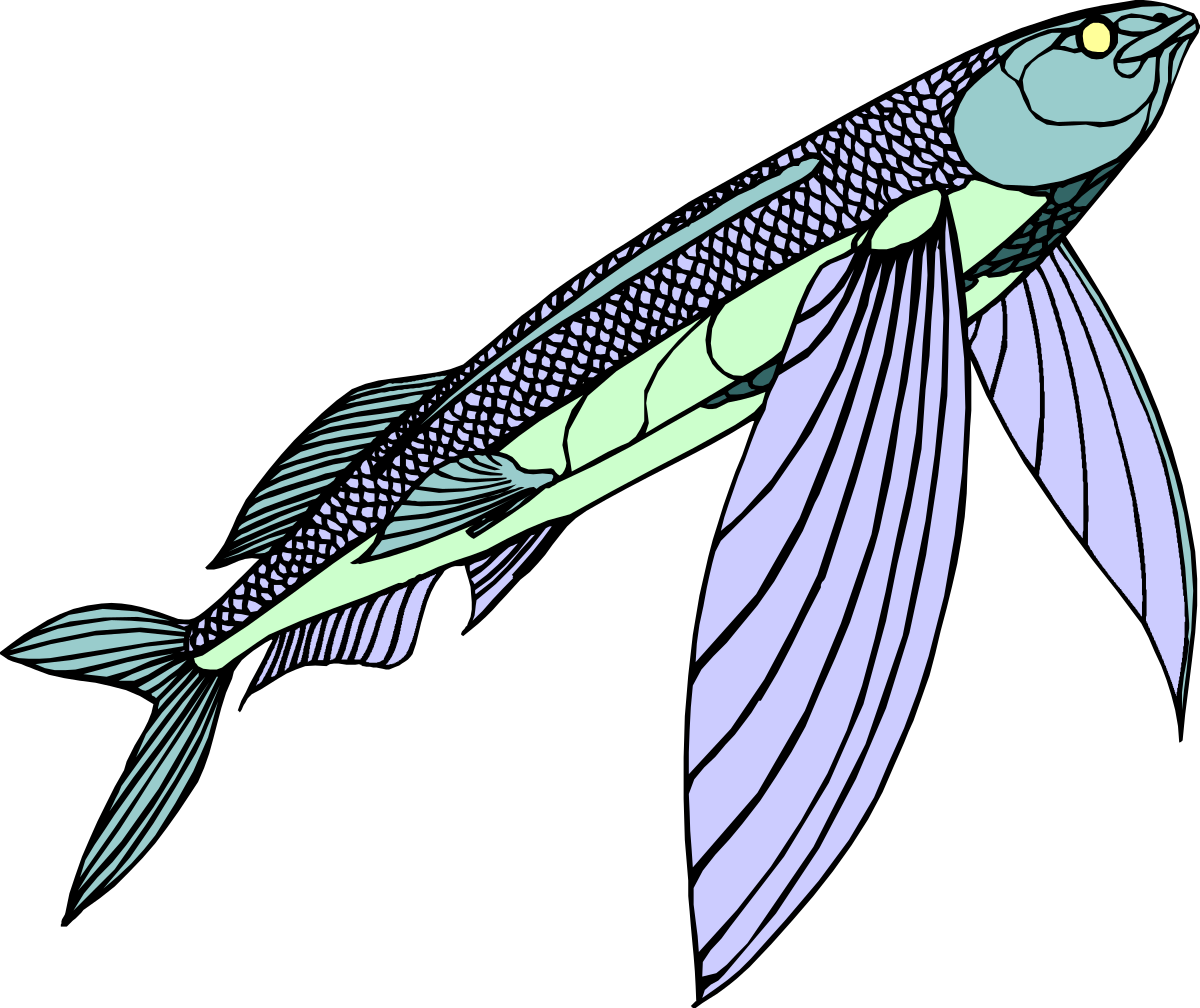 a fish with a long tail and a long tail clip art png transparent Long-Tailed Fish Clipart - Vibrant and Detailed Marine Illustration