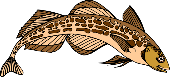Brown and Black Spotted Fish Clipart for Creative Projects