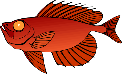 Red Fish on Black Background Clipart for Stunning Visuals