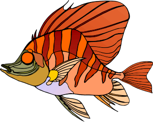 Vibrant Fish with Yellow and Orange Stripes Clipart