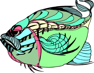 Colorful Fish and Woman with Flower: Vibrant Clipart Collection