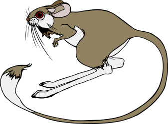Red-Eyed Mouse Clipart: Adorable and Enigmatic Character Design