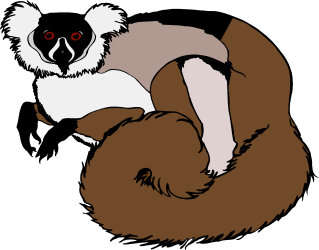 Brown and White Kora with Red Eye Clipart: Stunning Animal Illustration