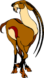 Horse with Saddle Clipart - Stunning Equine Imagery for Your Projects