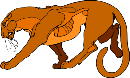 Lion Walking on Ground Clipart: Majestic Wildlife Illustration