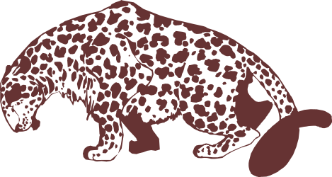 Bear Silhouette Against Black Background - Stunning Clipart