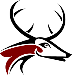Red Fish Swimming in Water Clipart for Vibrant Visuals