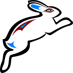 Vibrant Red and Blue Fish Clipart against Black Background