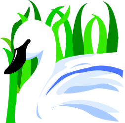 White Swan Swimming in a Serene Pond Clipart