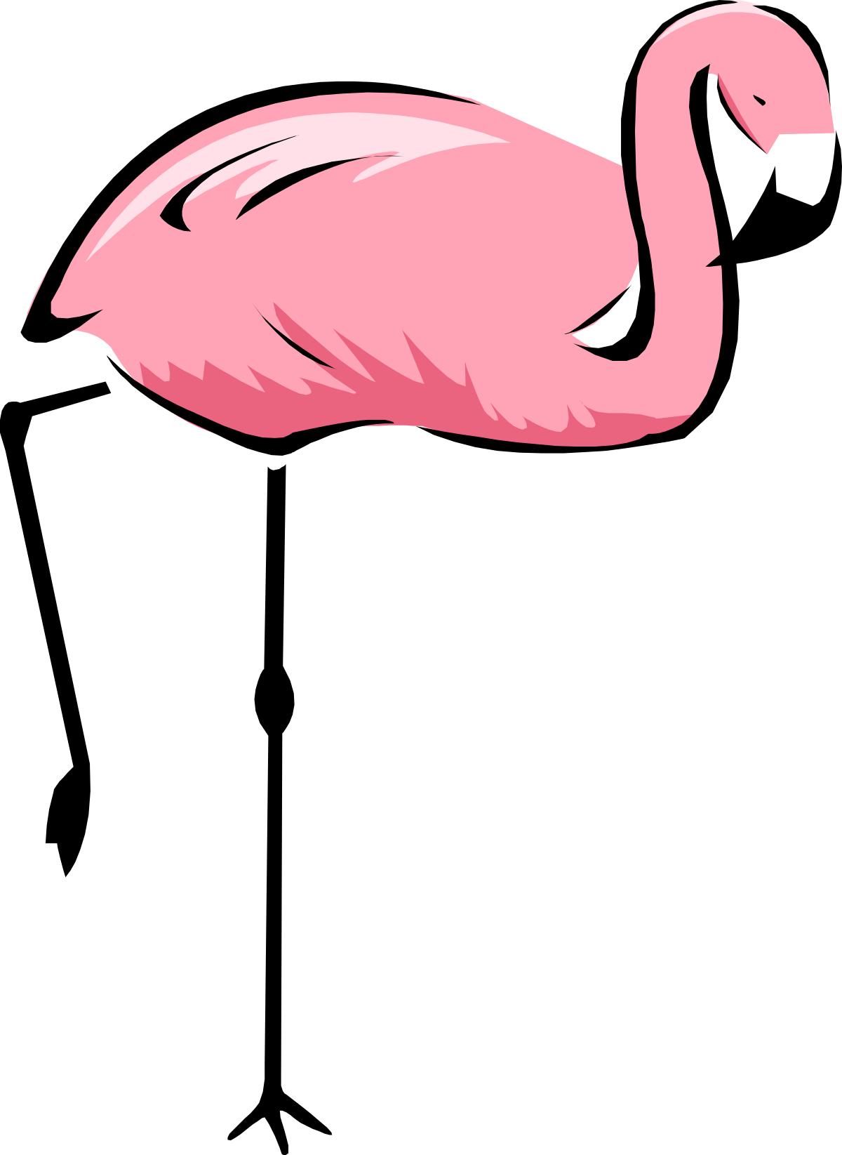 Pink Flamingo Bird on Black Background Clipart - Vibrant and Exotic