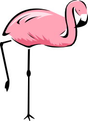 Pink Flamingo Bird on Black Background Clipart - Vibrant and Exotic