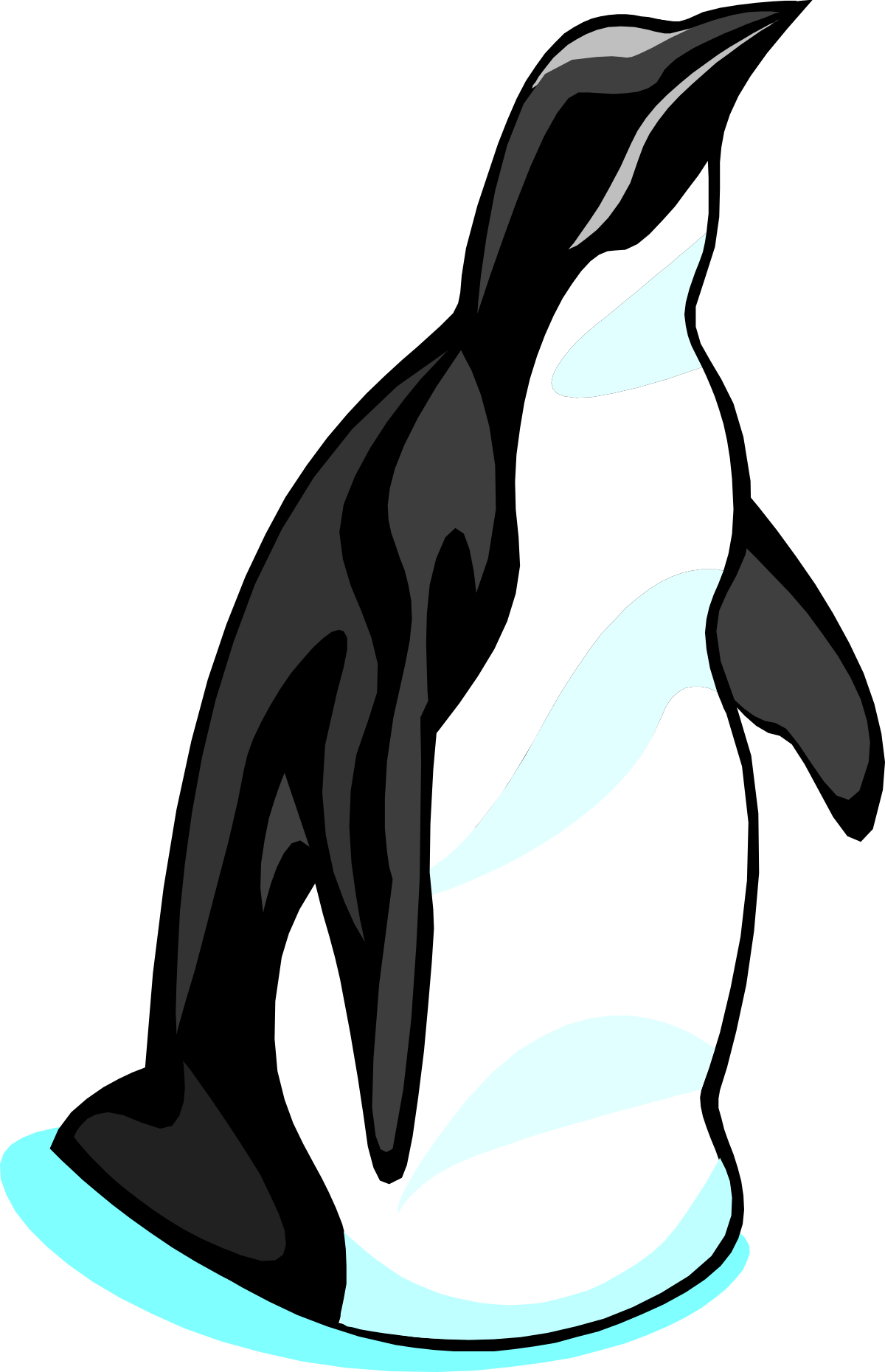 Penguin Clipart: Charming and Playful Penguin Illustrations for Your Projects