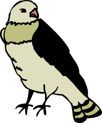 White Bird on Black Background Clipart - Elegant and Striking Visuals