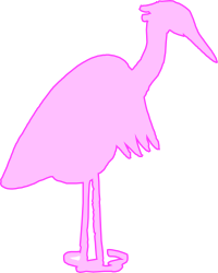 Pink Bird on Black Background Clipart - Stunning Avian Illustration