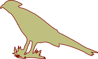 Bird Standing on Ground Clipart - Vibrant and Detailed Nature Scene