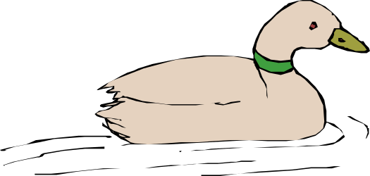 Duck with Green Collar on Black Background - Charming Clipart