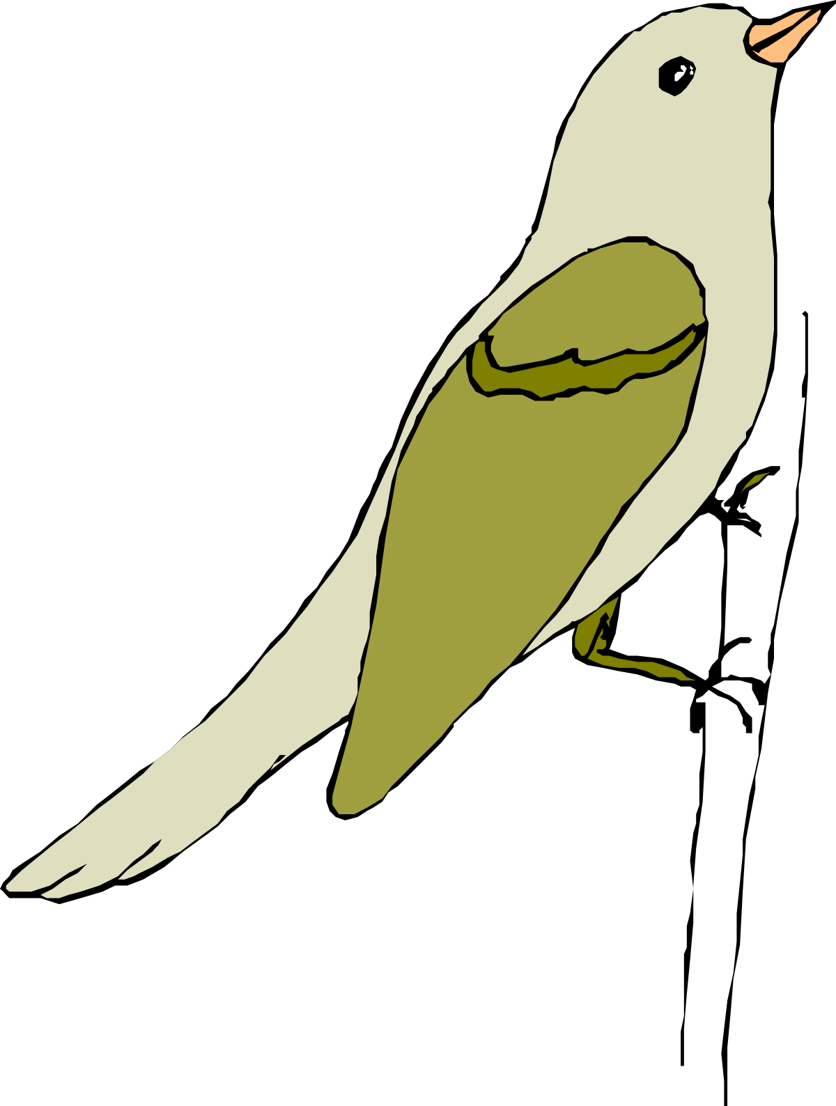 Bird Clipart: Charming Green and White Bird on Display