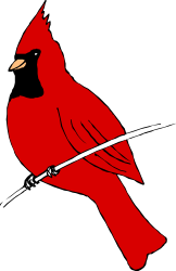 Red Bird on Branch Clipart - Vibrant Nature Illustration