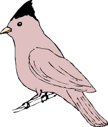 Bird on Branch Clipart - Beautiful Nature Scene