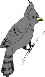 Yellow-Billed Bird Sitting on Branch Clipart