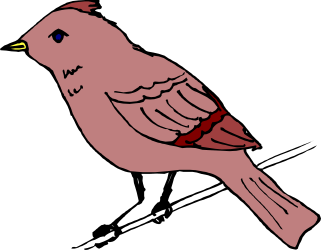 Bird on a Branch with Red Beak - Nature Clipart