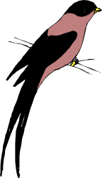 Flying Bird in Dark Sky Clipart - Captivating Silhouette