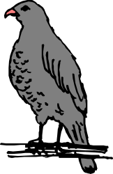 Bird on a Branch Clipart - Captivating Nature Scene