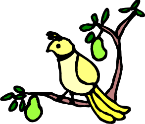 Bird on Tree Branch Clipart - Nature Inspired Illustration