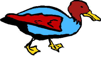 Red and Blue Beak Bird Clipart - Vibrant Avian Graphics for Your Projects