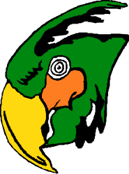Parrot Clipart with Vibrant Green and Yellow Beak