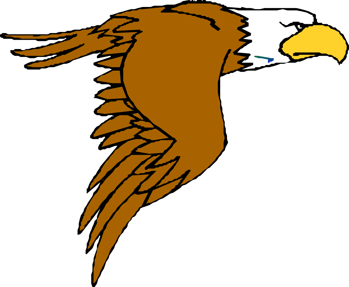 Flying Brown and White Bird Clipart - Soar Above with Nature's Beauty