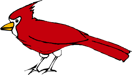 Cardinal Bird Clipart: Vibrant Red Beak & Stunning Details
