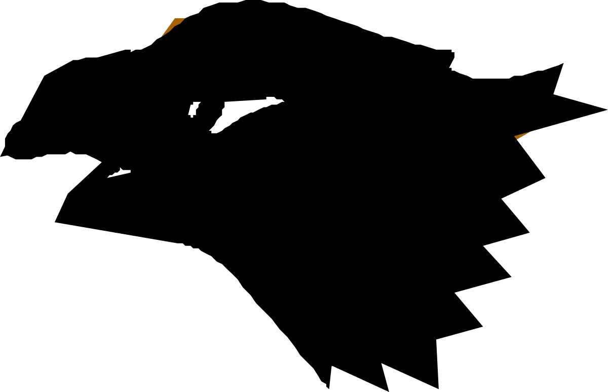 Black Cat with White Face on Black Background - Stunning Clipart