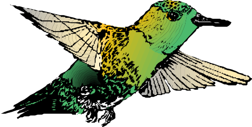 Hummingbird Clipart: Vibrant and Lively Illustrations