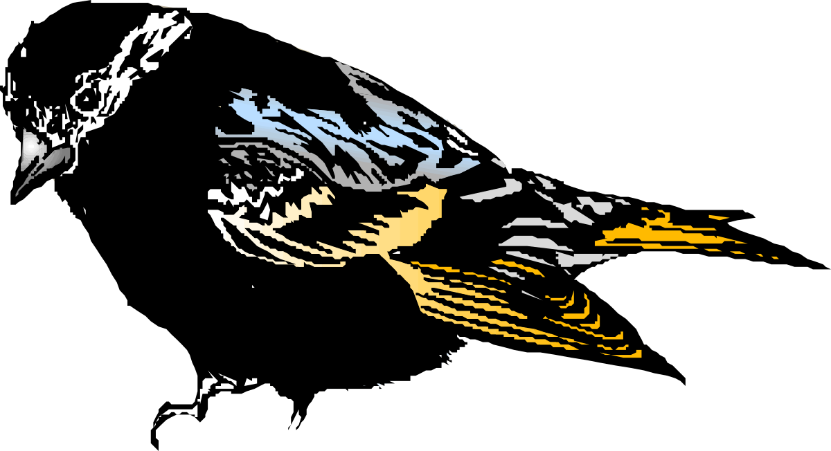 Black and Yellow Bird Clipart on a Striking Black Background