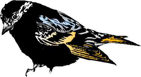 Black and Yellow Bird Clipart on a Striking Black Background
