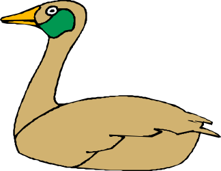 Duck Clipart with Green Head and Yellow Beak - Perfect for Your Projects